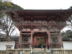 -醍醐寺