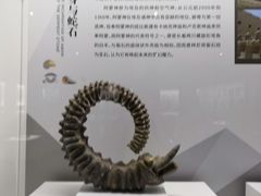 -贝壳王国博物馆