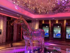 -纯K(打浦桥店)