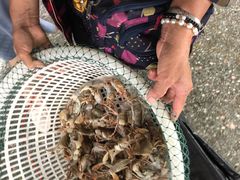 -霞涌市场海鲜摆卖区