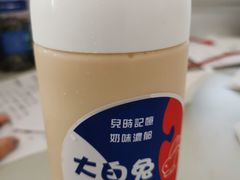 -猫的魔法密林(衣裳街店)