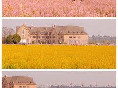 -中国天府农业博览园