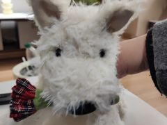 -泡泡玛特POPMART(龙湖杭州滨江天街店)