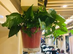 大堂-粗茶淡饭•陕菜•家常菜