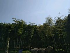 -天下银坑