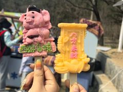 -白水寺森林公园