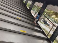 -四川大学博物馆