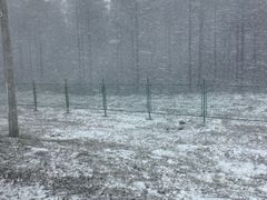 -塞罕坝国家级自然保护区