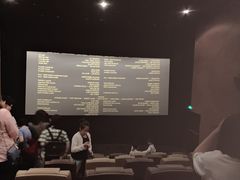 -博纳UA东方宝泰电影城