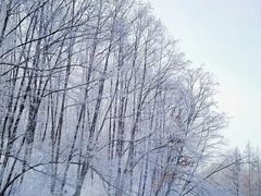 -雾凇岛