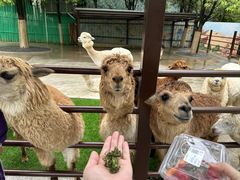 -杭州野生动物世界