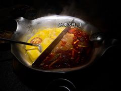红颜花胶鸡锅-湊湊火锅·茶憩(东城万达店)