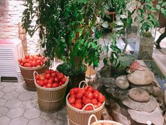 -蕃茄述·好汤自然来(江汉路店)