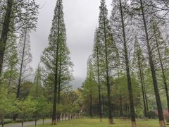 -宝岩生态观光园