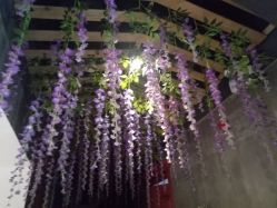 -Cocodemer 产后恢复中心(多伦路店)