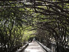 -烟台山景区