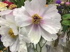 -花邻FloweringLife花艺气球派对(武康大楼店)