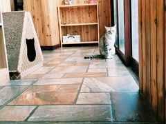 -隅cafe(傅厚岗店)