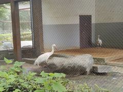 -南昌动物园