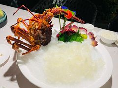 -金悦轩海鲜城(渔人码头店)