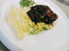 -滕头生态酒店(奉化店)