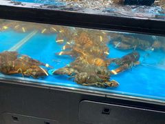 水产区-盒马鲜生(曜一城店)