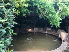 -许昌花溪大酒店