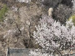 -北京凤凰岭