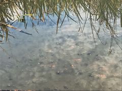 -祝甸砖窑文化馆