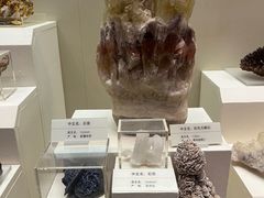 -天津自然博物馆
