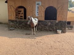 -HERRE·FARM 赫尔露营农场·团建聚会包场