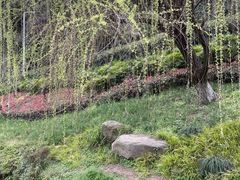 -重庆彩云湖湿地公园