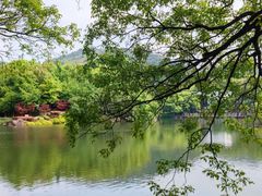 -白马涧龙池景区