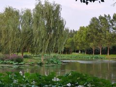 -东郊湿地公园