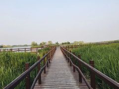-西青郊野公园