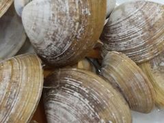 android_upload_pic-天津乾毓德饭庄·清真传统炒菜·海鲜烧烤(咸阳路店)