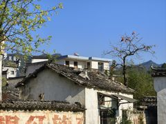 -塔川景区