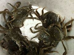 -乡乐园蟹庄·阳澄湖农家乐