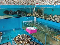水产区-港畔赶海蒸汽海鲜烧烤自助(仙螺岛店)