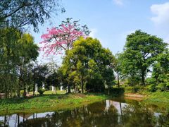 -广东花都香草世界旅游度假区