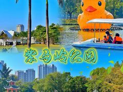 -紫马岭公园