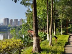 -重庆彩云湖湿地公园