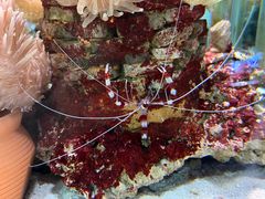 -太平洋海底世界