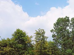 -南湖湿地公园
