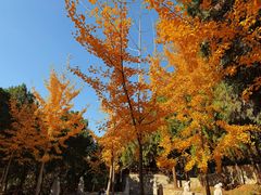 -四门塔风景区