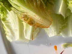 -芦苇荡·酸汤鱼(回龙观店)