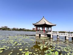 -济南大明湖景区