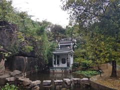 -深圳国际园林花卉博览园