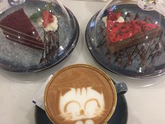 -飞行喵MR PILOT|猫舍·猫咖(静安大融城店)