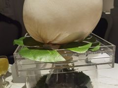 -汤城·料青山